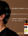 Nuggela & Sulé Champú Anticaspa 250ml.